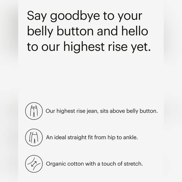 EVERLANE THE WAY HIGH JEAN IN COAL•Size 25 LONG•NWT - Picture 10 of 12